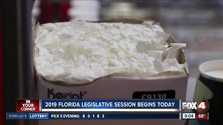 Florida legislative session begins