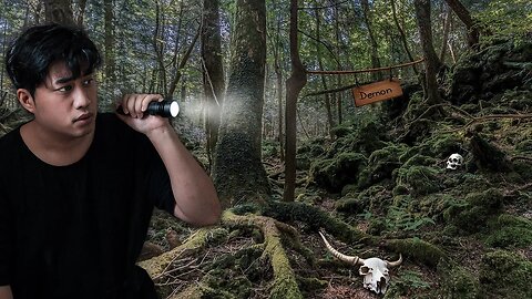 Aokigahara 青木ヶ The Most Haunted Forest In The World | JAPAN (BANNED)