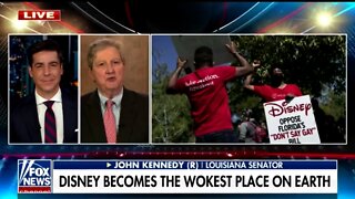 Sen Kennedy: Disney CEO Acted Without A Spine In Face Of Wokeness