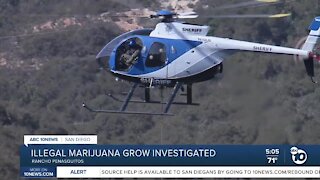 Illegal marijuana grow investigated