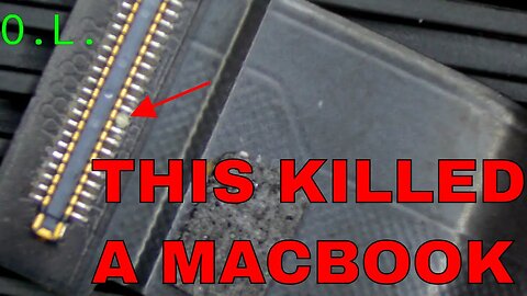 Macbook killed by a SPEC of dust...