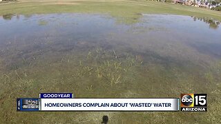 Farm runoff turns Goodyear neighborhood into swamp