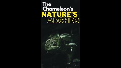 "Nature's Astonishing Archer: The Chameleon's Incredible Tongue"