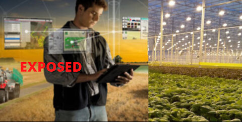 Big Ag - GMO seeds; Patent seeds; Digital Farming EXPOSED