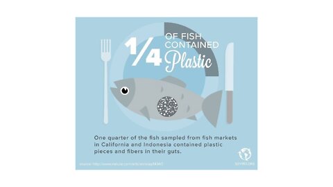 Are We Unknowningly Eating Plastic???