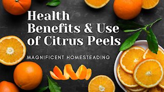 Health Benefits & Use of Citrus Peels