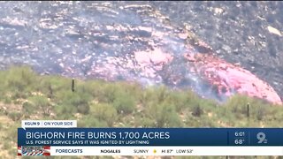 Bighorn Fire now 1,700 acres, still 0% containedFires continue to burn in the mountains near Oro Valley.