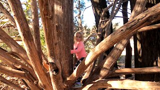 Carly Kid Tree Climbing ~ Just like Old Timers Did