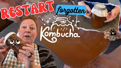You stopped brewing your Kombucha and forgot about your Scoby, now what?