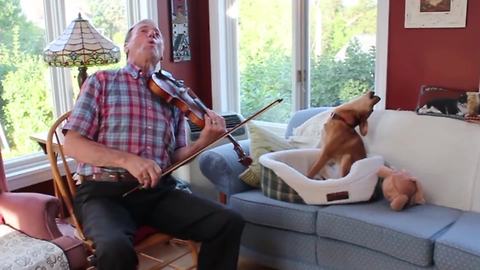 "Amazing Violin And Dog Duet"