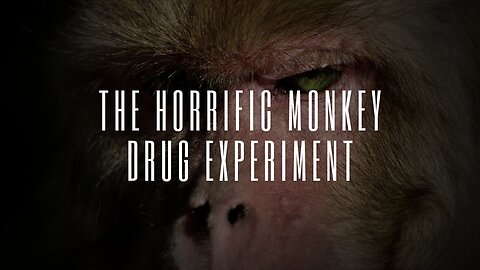 Unveiling The Dark Side of Science: The Horrific Monkey Drug Experiment