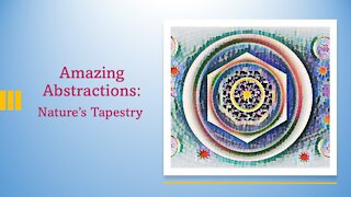 My Portfolio: Amazing Abstractions: Nature's Tapestry