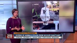 Dozens of exotic animals stolen from Florida wildlife sanctuary