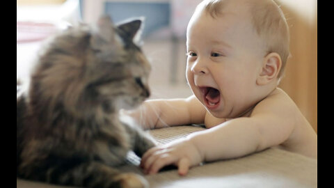The most beautiful scenes of the baby and pets in the house 🐈🐈👼👶😍😍