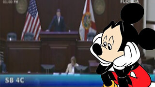 Florida House Squashes The Mouse