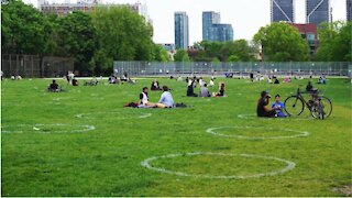 Trash Covered Trinity Bellwoods Last Weekend & The City Wants People To 'Do Their Part'
