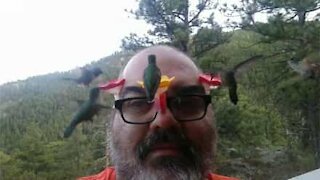 Homem alimenta beija-flores com a própria cabeça