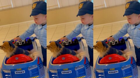 Toddler And His Pomeranian Dress Up As Police Officers