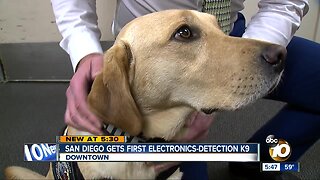 San Diego gets electronics-sniffing K9