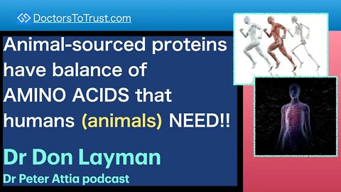 DON LAYMAN 4 | Animal-sourced proteins have balance of AMINO ACIDS that humans (animals) NEED!!