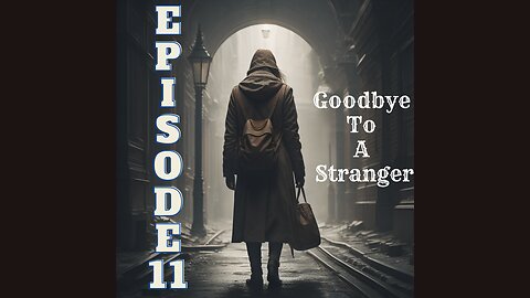Goodbye To A Stranger: Episode 11