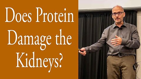 Does Protein Damage the Kidneys