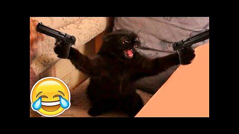 Funny Animals 2024 😂 Cute Cat And Dog Funny Videos 😸 Part 68