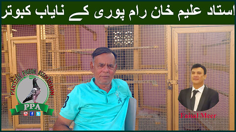 Ustad Aleem Khan Rampuri pigeons Watch In HD Urdu/Hindi #faisal #pakistanpigeonassociation #pigeon