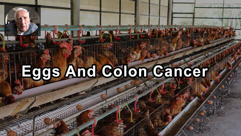 Some Studies Show That A Higher Consumption Of Eggs Are Related To Colon Cancer