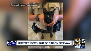 DPS trooper saves kitten thrown from car