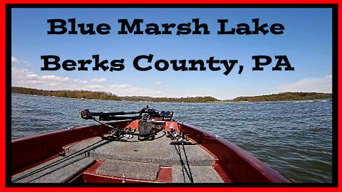 Blue Marsh Lake - Information about the Lake