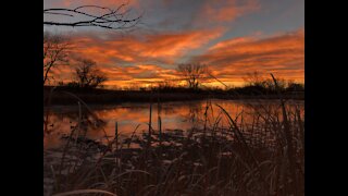 Merino Morning Duck Hunt