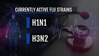 28 children have died so far in 2018-2019 flu season, CDC reports