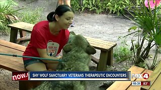 Veterans interact with wolf dogs in therapeutic encounter