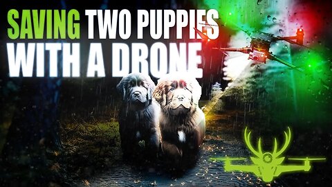 Lost Puppies Rescued, ￼Using Thermal Imaging Drone ￼￼