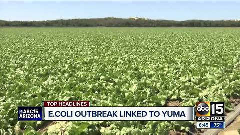 E. Coli outbreak linked to Yuma, Arizona