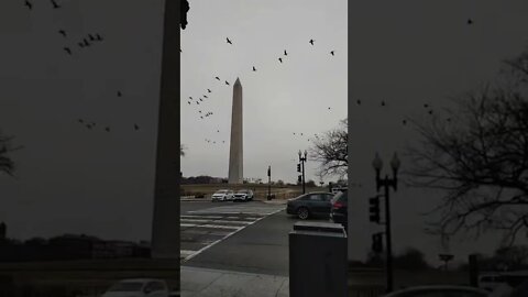 1/28/22 Nancy Drew in DC- Long Live Video 2- Marine One Coming in For Pickup