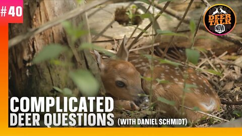 #40: COMPLICATED DEER QUESTIONS with Daniel Schmidt | Deer Talk Now Podcast