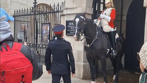 Corporal stund horse tries to bite him #horseguardsparade