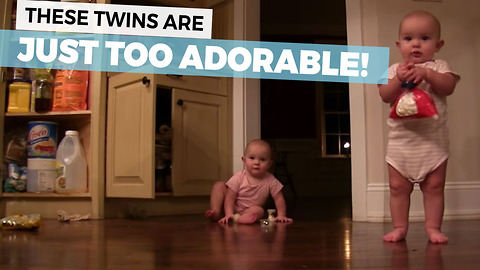 These Baby Twins Are The Most Adorable Thieves Ever