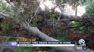 Downed tree traps woman in home