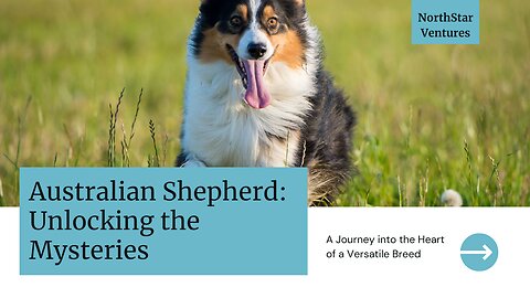 Unlocking the Mysteries of the Australian Shepherd: A Journey into the Heart of a Versatile Breed
