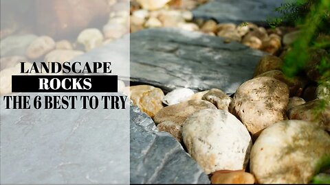 Best Landscape Rocks: 6 Best Landscaping Rocks to Beautify Your Yard