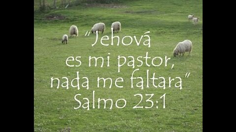 Salmos 23 con Ann M. Wolf