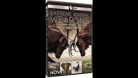 Extreme Animal Weapons