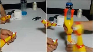 Rubber chickens make for great musical instruments!