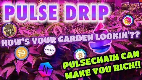 Pulse Drip 1% DAILY | GET RICH w/ The Pulse Chain Garden🪴We Earn 1.5% DAILY In There!!