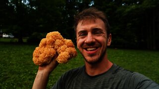 Cauliflower Mushroom: Foraging and Cooking Wild Mushrooms. Bushcraft Cooking Sparassis Recipe