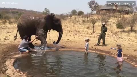 Turista é molhada por elefante africano