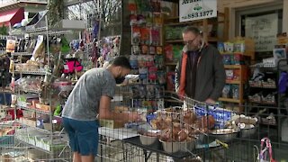 Elmwood Pet Supplies moves outside